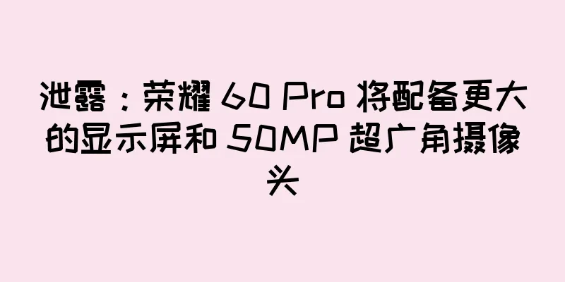 泄露：荣耀 60 Pro 将配备更大的显示屏和 50MP 超广角摄像头