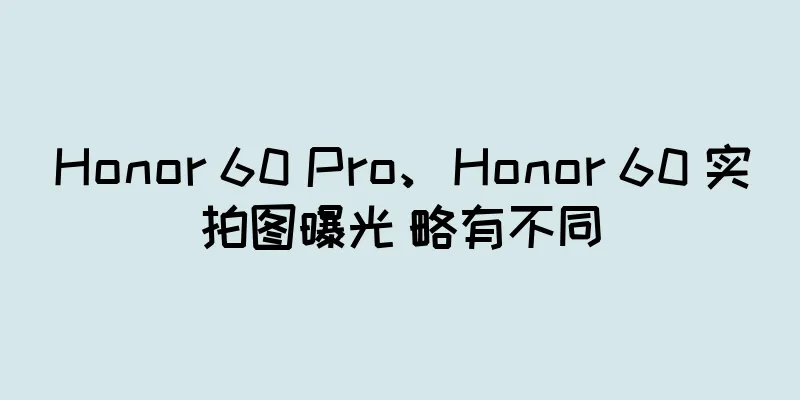 Honor 60 Pro、Honor 60 实拍图曝光 略有不同