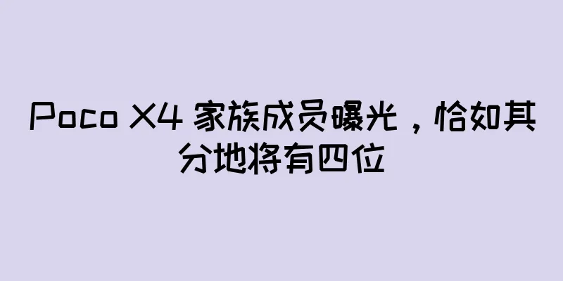Poco X4 家族成员曝光，恰如其分地将有四位