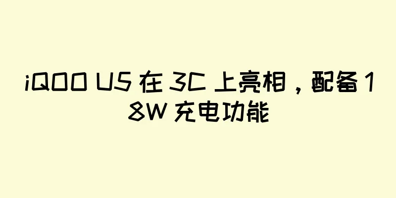 iQOO U5 在 3C 上亮相，配备 18W 充电功能
