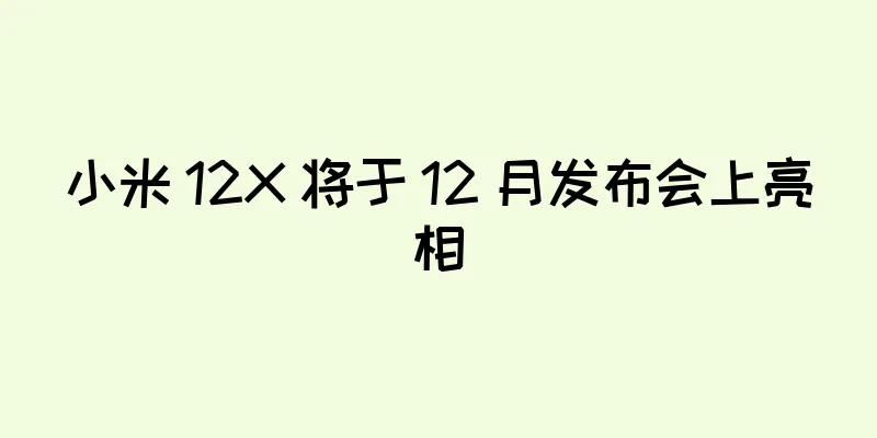 小米 12X 将于 12 月发布会上亮相