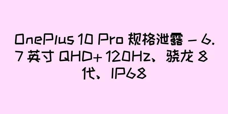 OnePlus 10 Pro 规格泄露 - 6.7 英寸 QHD+ 120Hz、骁龙 8 代、IP68
